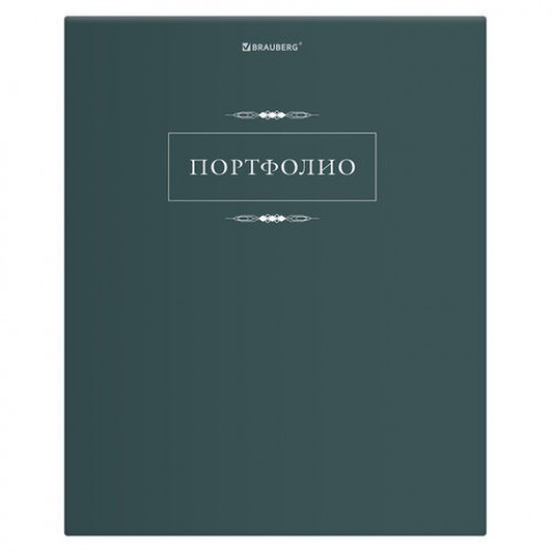 Папка-портфолио универсальная, 4 кольца, 20 файлов, 7БЦ матовая, BRAUBERG Classic, 117554