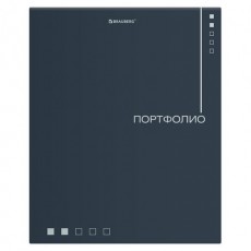 Папка-портфолио универсальная, 4 кольца, 20 файлов 10 вкладышей, 7БЦ матовая, BRAUBERG, 117553