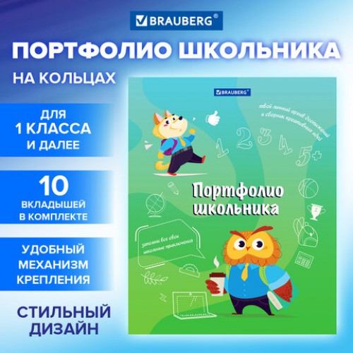 Папка-портфолио школьника, А4, 4 кольца, 20 файлов, 10 вкладышей, 7БЦ, МАЛЬЧИК, BRAUB, 115240