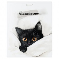 Папка-портфолио универсальная, 4 кольца, 20 файлов 10 вкладышей, 7БЦ матовая, BRAUBERG, 117557