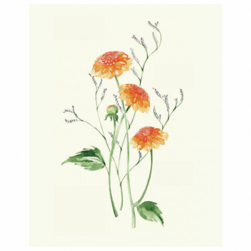 Botanical painting. Вдохновляющий курс рисования акварелью, 105550