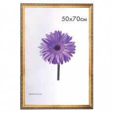 Рамка премиум 50х70 см, пластик, багет 33 мм, Dorothy, золото, 0023-50-4274