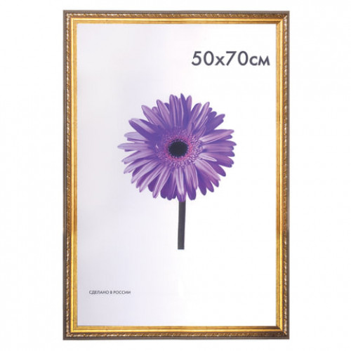 Рамка премиум 50х70 см, пластик, багет 33 мм, Dorothy, золото, 0023-50-4274