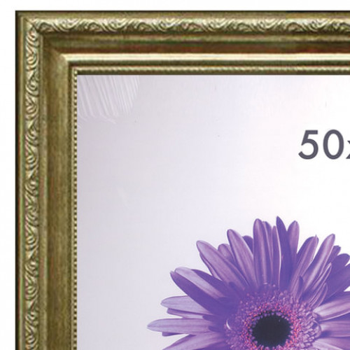 Рамка премиум 50х70 см, пластик, багет 33 мм, Dorothy, золото, 0023-50-4274