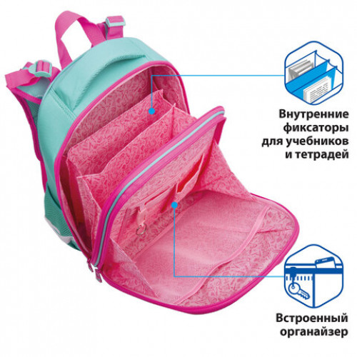 Ранец BRAUBERG PREMIUM, 2 отделения, с брелком, Koala, 38х29х16 см, 229902
