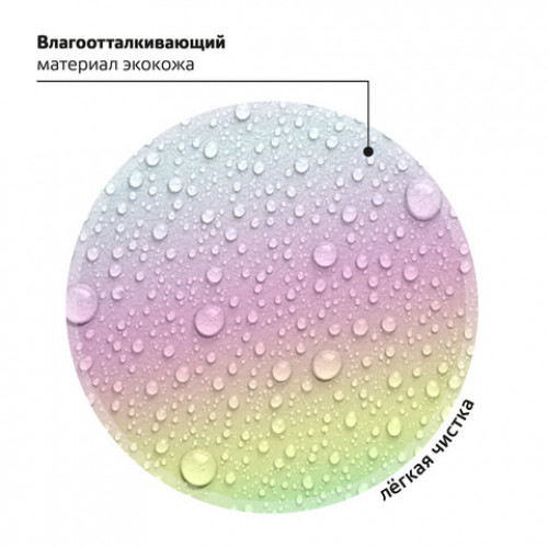 Ранец BRAUBERG SHINY, 2 отделения, Curious mouse, 36х28х14 см, 270696