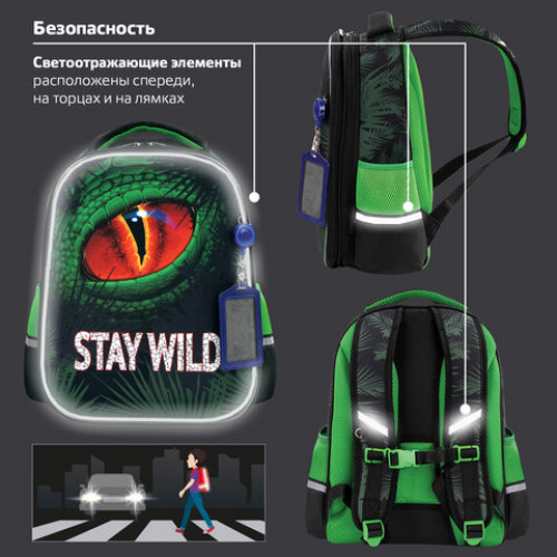 Ранец ЮНЛАНДИЯ LIGHT, 2 отделения, Stay wild, 38х29х16 см, 270609