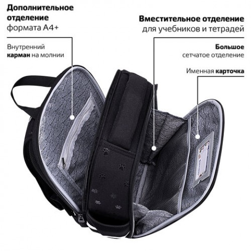 Ранец BRAUBERG FIT, 2 отделения, Dark cat, 38х27х14 см, 272026