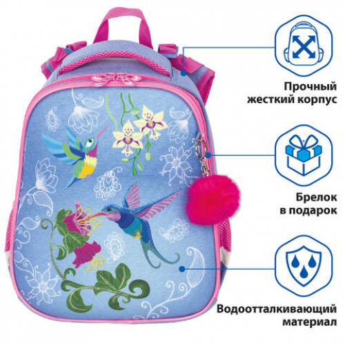Ранец BRAUBERG PREMIUM, 2 отделения, с брелком, Hummingbird, 38х29х18 см, 227821