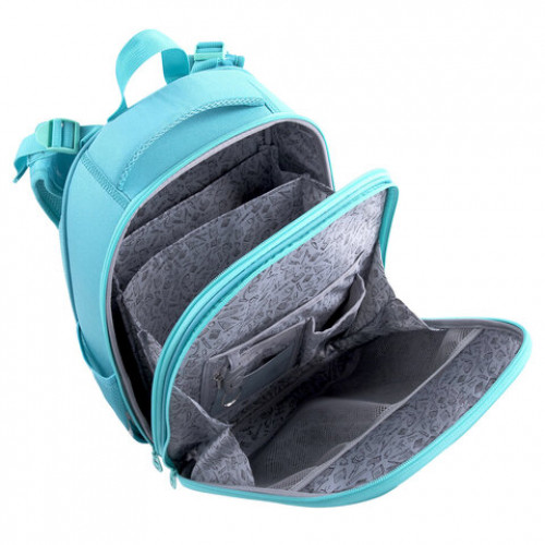 Ранец BRAUBERG PREMIUM, 2 отделения, с брелком, Happy friendship, 38х29х16 см, 270591