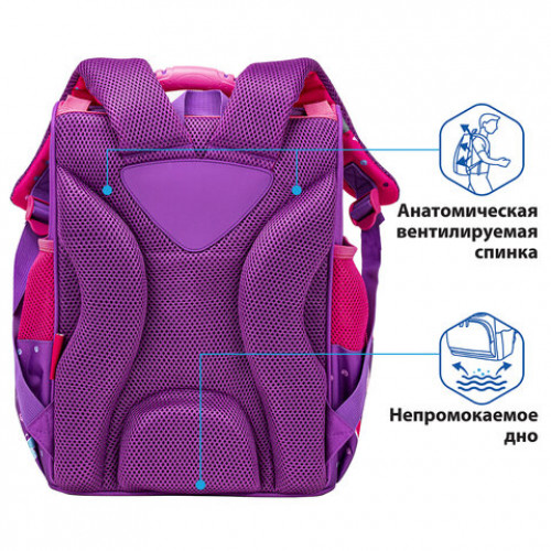 Ранец ПИФАГОР BASIC, с эргономичной спинкой, Black kitten, 35х28х18 см, 270681