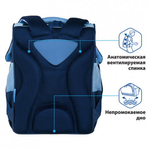 Ранец ПИФАГОР BASIC, с эргономичной спинкой, Little friend, 35х28х18 см, 270684