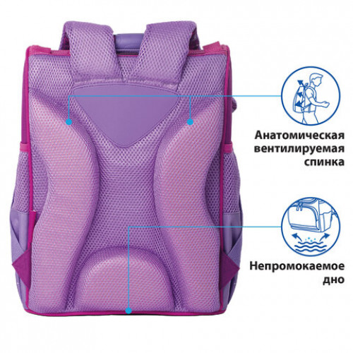Ранец ПИФАГОР BASIC, с эргономичной спинкой, Smart owls, 35х28х18 см, 229933