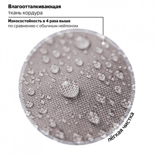 Ранец BRAUBERG PREMIUM, 2 отделения, с брелком, Funny panda, 38х29х16 см, 229899