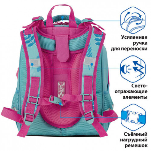 Ранец BRAUBERG PREMIUM, 2 отделения, с брелком, Koala, 38х29х16 см, 229902