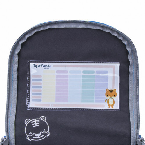 Ранец TIGER FAMILY для начальной школы, Nature Quest, Lightning Power, 35х31х19 см, 228876, TGNQ-047A