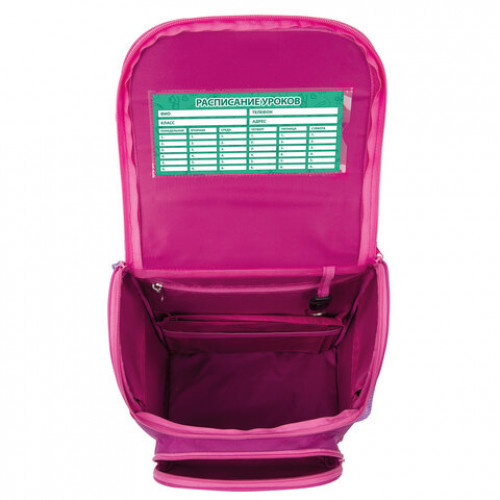Ранец ПИФАГОР BASIC, с эргономичной спинкой, Smart owls, 35х28х18 см, 229933
