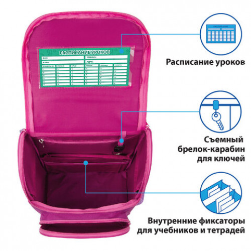 Ранец ПИФАГОР BASIC, с эргономичной спинкой, Smart owls, 35х28х18 см, 229933