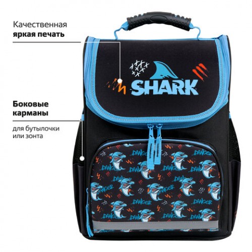 Ранец ПИФАГОР BASIC, 1 отделение, 3 кармана, эргономичная спинка, Angry shark, 35х28х18 см, 272044