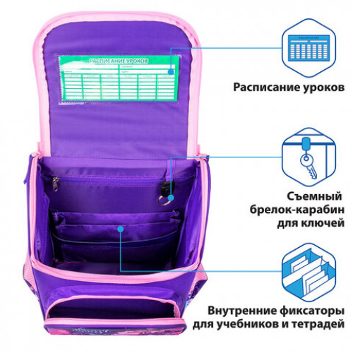 Ранец ПИФАГОР BASIC, с эргономичной спинкой, Butterflies, 35х28х18 см, 270683