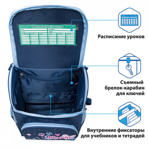 Ранец ПИФАГОР BASIC, с эргономичной спинкой, Little friend, 35х28х18 см, 270684
