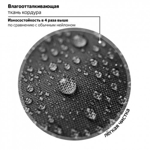 Ранец ЮНЛАНДИЯ LIGHT, 2 отделения, Stay wild, 38х29х16 см, 270609