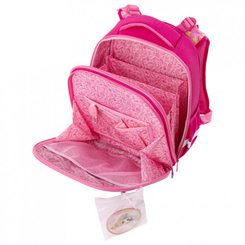 Ранец BRAUBERG PREMIUM, 2 отделения, с запасным патчем, Happy kitten, 38х29х16 см, 229896