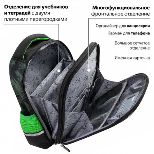 Ранец ЮНЛАНДИЯ LIGHT, 2 отделения, Stay wild, 38х29х16 см, 270609