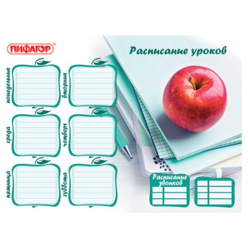 Расписание уроков и звонков А4, ПИФАГОР, Школьная тема, ассорти (4 вида), бумага 150 г/м2, 111658