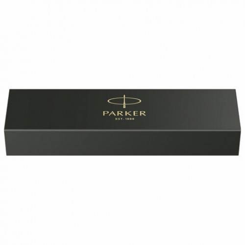 Ручка перьевая PARKER IM Professionals Monochrome Titanium, темно-серый лак, сталь, синяя, 2172959