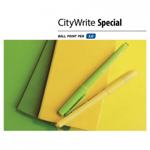 Ручка шариковая масляная BRUNO VISCONTI CityWrite, СИНЯЯ, Special, узел 1 мм, линия письма 0,7 мм, 20-0024