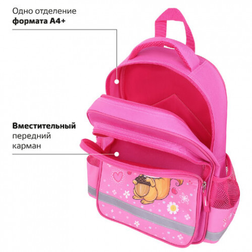 Рюкзак ПИФАГОР SCHOOL, 1 отделение, 3 кармана, Squirrel, 38x28х14 см, 271404