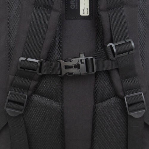 Рюкзак GRIZZLY школьный, анатом. спинка, 2 отделения, д/мальч., BLACK STRIPES, 42х31х22см,RU-532-1/2