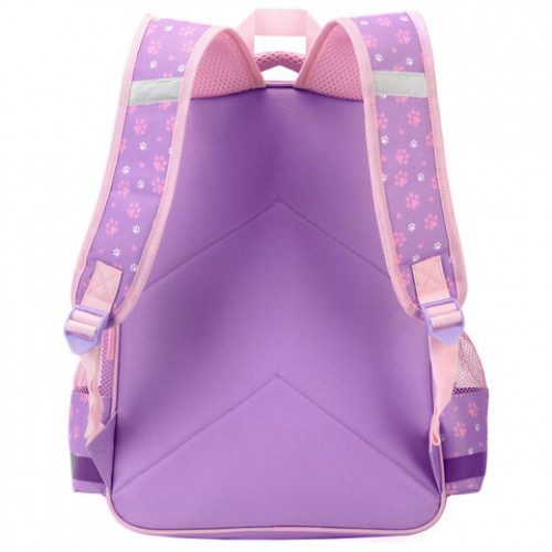 Рюкзак ПИФАГОР SCHOOL, 1 отделение, 3 кармана, Observer cat, 38x28х14 см, 274437