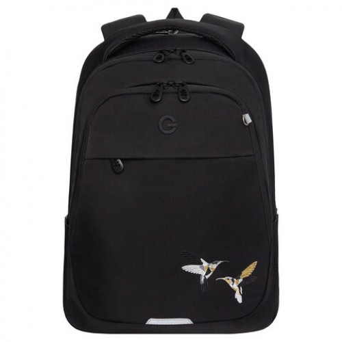 Рюкзак GRIZZLY школьный, анатомическая спинка, 2 отделения, для девочек, COLIBRI, чёрный, 40х29х20 см, RD-540-2/4