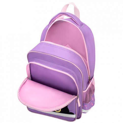 Рюкзак ПИФАГОР SCHOOL, 1 отделение, 3 кармана, Observer cat, 38x28х14 см, 274437