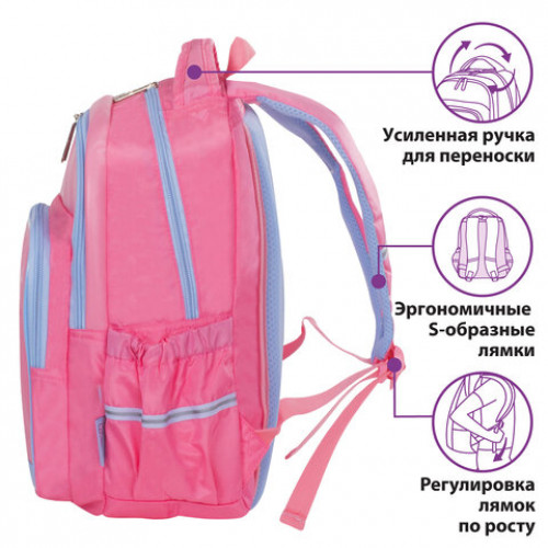 Рюкзак ЮНЛАНДИЯ MILD, 2 отделения, эрго-спинка, Little cat, 36х28х18 см, 229959