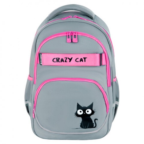 Рюкзак BRAUBERG MOTION, 2 отделения, 3 кармана, Crazy cat, 41х28х17 см, 273115