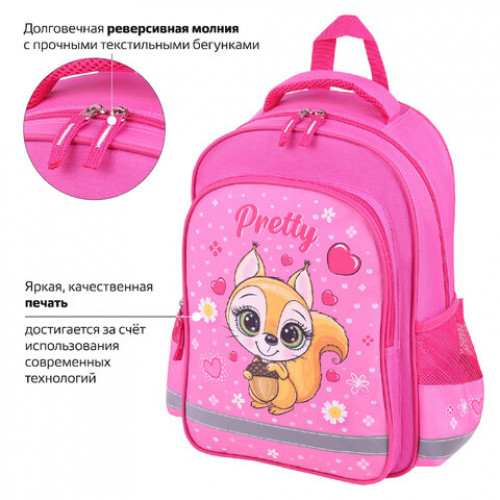 Рюкзак ПИФАГОР SCHOOL, 1 отделение, 3 кармана, Squirrel, 38x28х14 см, 271404