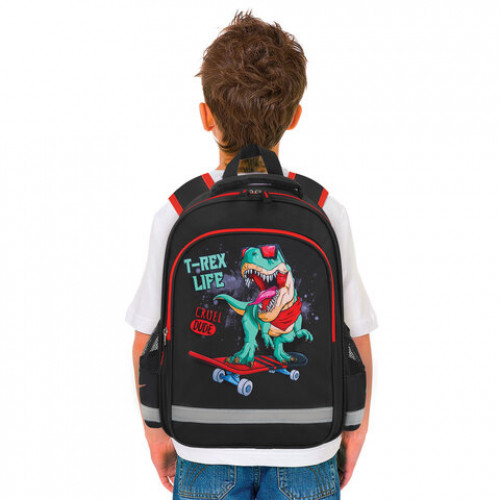 Рюкзак ПИФАГОР SCHOOL, 1 отделение, 3 кармана, T-rex, 38x28х14 см, 271412