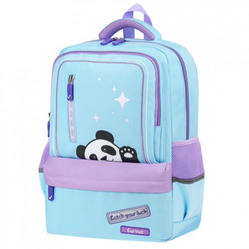 Рюкзак BRAUBERG STAR, Friendly panda, голубой, 40х29х13 см, 270667