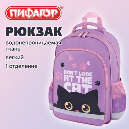 Рюкзак ПИФАГОР SCHOOL, 1 отделение, 3 кармана, Observer cat, 38x28х14 см, 274437