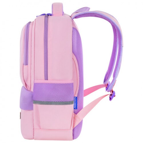 Рюкзак BRAUBERG STAR, 1 отделение, 5 карманов, Capybara, розовый, 40x29x13 см, 272062