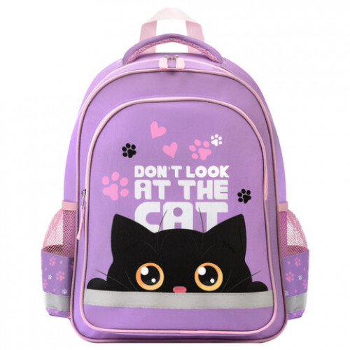 Рюкзак ПИФАГОР SCHOOL, 1 отделение, 3 кармана, Observer cat, 38x28х14 см, 274437