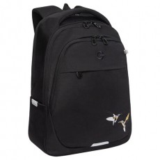 Рюкзак GRIZZLY школьный, анатомическая спинка, 2 отделения, для девочек, COLIBRI, чёрный, 40х29х20 см, RD-540-2/4