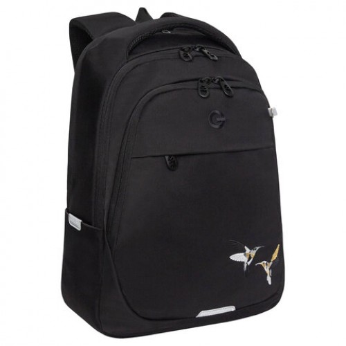 Рюкзак GRIZZLY школьный, анатомическая спинка, 2 отделения, для девочек, COLIBRI, чёрный, 40х29х20 см, RD-540-2/4