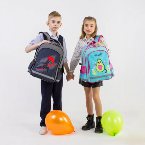 Рюкзак ПИФАГОР SCHOOL для начальной школы, Avocat, 38x28х14 см, 270652