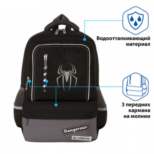 Рюкзак BRAUBERG STAR, Spider, черный, 40х29х13 см, 229978