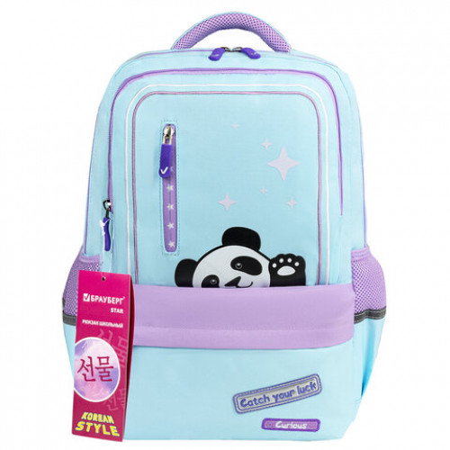 Рюкзак BRAUBERG STAR, Friendly panda, голубой, 40х29х13 см, 270667