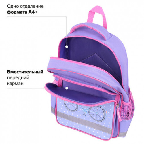 Рюкзак ПИФАГОР SCHOOL, 1 отделение, 3 кармана, Little beauty, 38x28х14 см, 271402